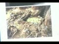 南京大虐殺の真実　２