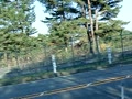 2010　多摩湖自転車道　紅葉　20Kmポスト付近