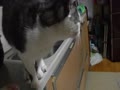ちゃんと言う事聞くでしょ＾＾